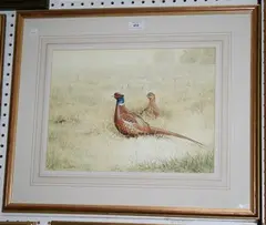 Ben Hoskyns, Study of Two Pheasants, watercolour and gouache