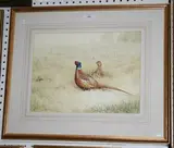 Ben Hoskyns, Study of Two Pheasants, watercolour and gouache