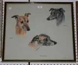 Mary Browning, Portrait Studies of Three Greyhounds' Heads, pastel