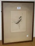 Warren Davis, The Running Nymph, monochrome etching