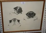 G. Renshaw, Gatsby' (Head Studies of a Pug), pencil