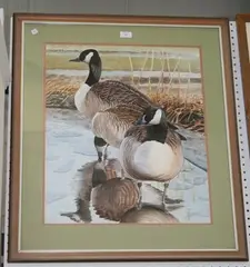 A. Mortley, Study of Two Canada Geese, watercolour