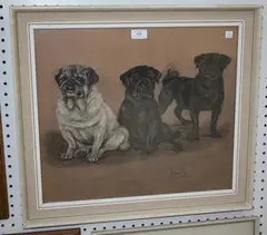 Marjorie Cox, Studies of Three Pug Dogs, 1972, pastel