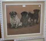 Marjorie Cox, Studies of Three Pug Dogs