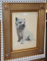 Sally Trueman, Study of a Seated White Terrier, pastel