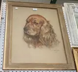 Stella Mackie, Study of a Cocker Spaniel's Head, pastel