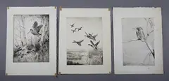 Roland Green, Woodcock; Kingfisher; Mallard in flight, five etchings, all signed in pencil lower right
