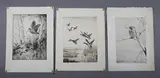 Roland Green, Woodcock; Kingfisher; Mallard in flight, five etchings, all signed in pencil lower right