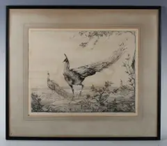 Peacocks by Edward Julius Detmold, etching, sold Nov 2025