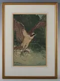 Allen W. Seaby, Osprey, colour woodcut
