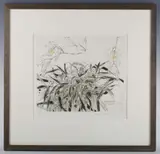 Elizabeth Blackadder, Orchidaceae Coelogyne cristato, etching