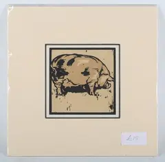 William Nicholson, Pig, colour woodcut