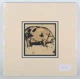 William Nicholson, Pig, colour woodcut