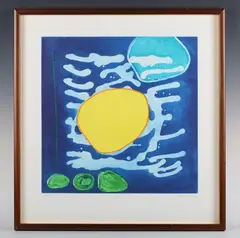 Heidi Koenig, Madiba, colour etching