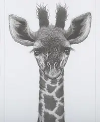 Gorgeous’ (Giraffe) by Gary Hodges, monochrome print, sold May 2024