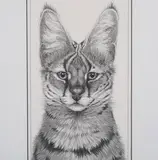 Gary Hodges, Serval, monochrome print