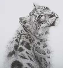 Gary Hodges, Sabu’ (Snow Leopard), monochrome print