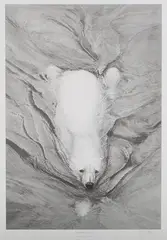 Gary Hodges, Polar Bear Swimming, monochrome print