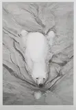 Gary Hodges, Polar Bear Swimming, monochrome print