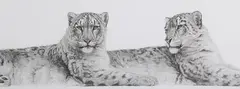 Gary Hodges, Soulmates’ (Snow Leopards), monochrome print