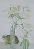 Elizabeth Blackadder, Cat and Lilies, colour print