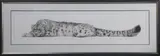Gary Hodges, Snow Leopard, monochrome print