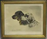 Giovanni Volpato, Study of a Gordon Setter and an English Setter