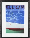 Susie Jenkins, Pellican, colour photograph