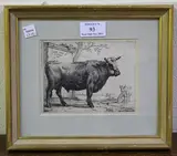Paulus Potter, The Bull, monochrome etching