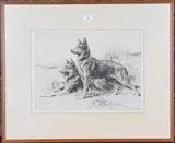 Herbert Dicksee, Alsatians, etching