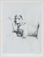 Cecil Aldin, Sealyham Terrier on an Armchair, etching