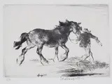 Edmund Blampied, Farm Horse