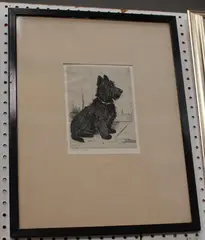 Marion Harvey, Where's my Leash?' (Scottish Terrier), etching