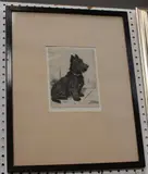 Marion Harvey, Where's my Leash?' (Scottish Terrier), etching