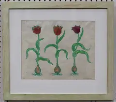 John Dilnot, Tulips, 1998, colour linocut