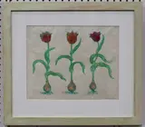 John Dilnot, Tulips, 1998, colour linocut