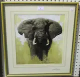 David Shepherd, Elephant, colour print
