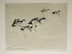 Winifred Austen, Ducks in Flight, etching