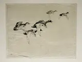Winifred Austen, Ducks in Flight, etching
