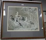 Charles Tunnicliffe, Ducks on a Pond