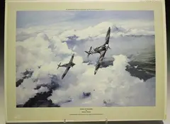 Robert Taylor, Duel of Eagles, colour print