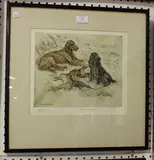George Vernon Stokes, Red Setter and Spaniel guarding Game, hand-coloured etching