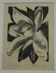 John Farleigh, Magnolia, monochrome wood-engraving