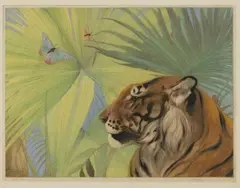 Edward Julius Detmold, Tiger, Butterflies and Fan Palms or The Jungle King, etching with aquatint in colours