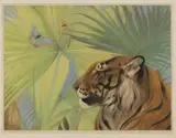 Edward Julius Detmold, Tiger, Butterflies and Fan Palms or The Jungle King, etching with aquatint in colours