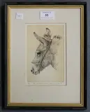 Anne Shingleton, New Forest Donkey, monochrome etching
