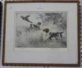 Henry Wilkinson, Springer Spaniels flushing a Pheasant, coloured etching