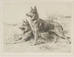 Two German Shepherds by Herbert Dicksee, monochrome etching, sold Apr 2016