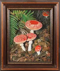 J. Haak, paddestoelen, J.Haak 1989 stilleven met paddestoelen olieverf op linnen 24x30cm Cond:G