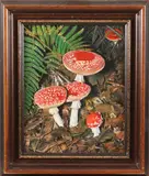 J. Haak, paddestoelen, J.Haak 1989 stilleven met paddestoelen olieverf op linnen 24x30cm Cond:G